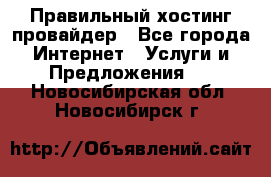 Правильный хостинг провайдер - Все города Интернет » Услуги и Предложения   . Новосибирская обл.,Новосибирск г.